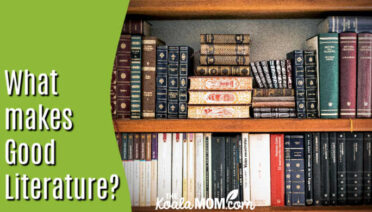 What makes Good Literature? Photo of books on a bookshelf by Pixabay.