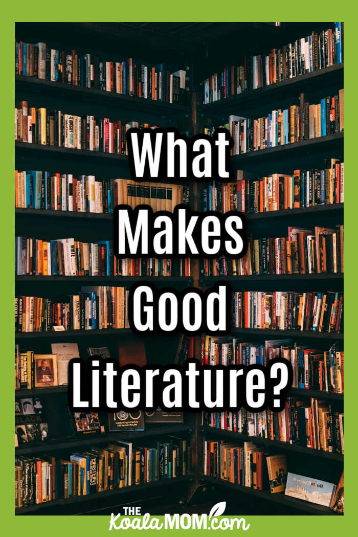 What makes Good Literature? Photo of books on a bookshelf by Ricky Esquivel via Pexels.