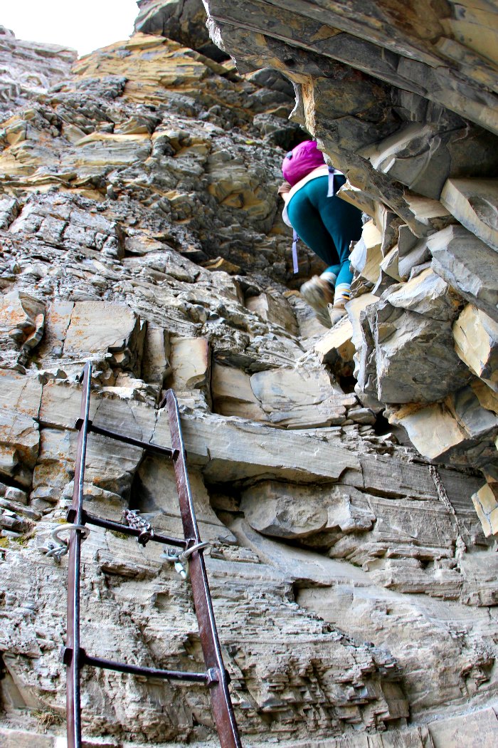 Crypt Lake trail ladder photo by daveynin on fllickr