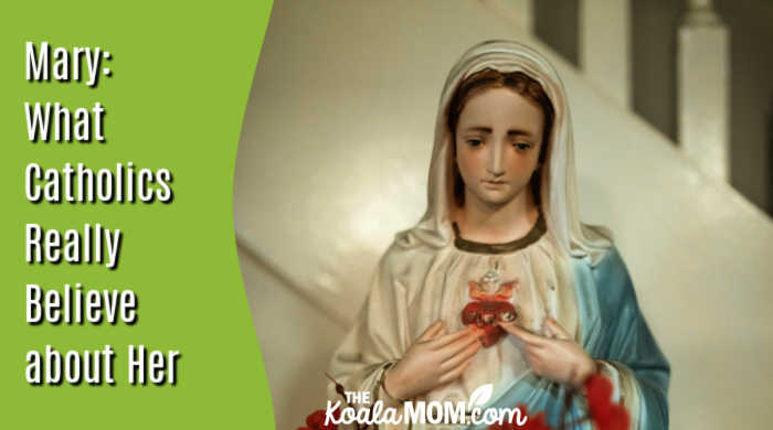 Mary: What Catholics Really Believe about Her. Photo of statue of the Immaculate Heart of Mary by RDNE Stock project via Pexels.