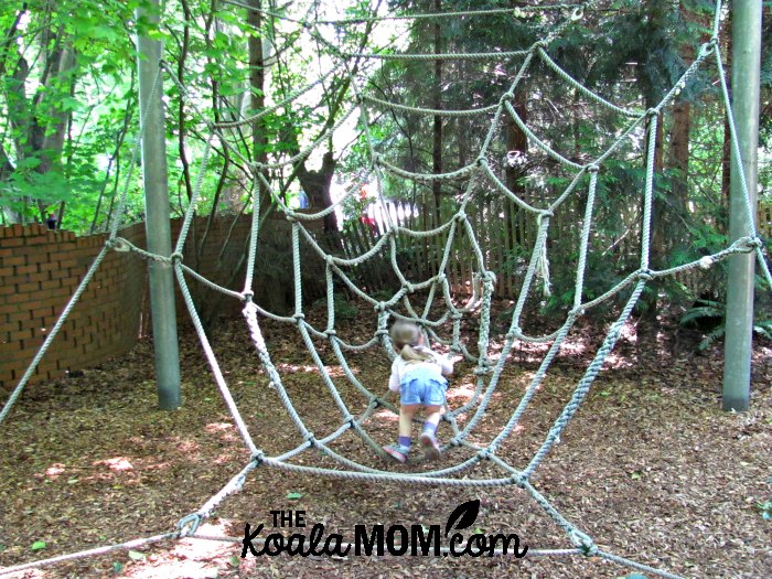 Rope spiders web for kids to play in at the Seattle Woodland Park Zoo