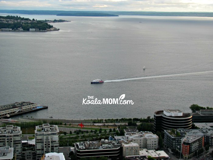 Seattle harbour views from the Space Needle, thanks to the Seattle CityPASS