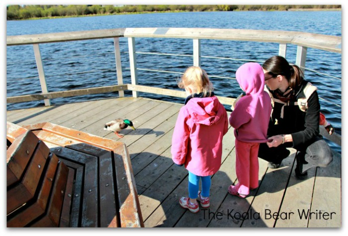 Mom and two girls feeding a Mallard Duck at Swan Lake Nature Sanctuary