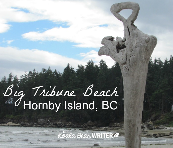 Big Tribune Beach on Hornby Island, BC