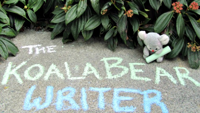My koala bear mascot with my blog name written in chalk.