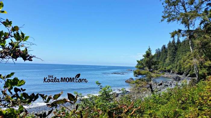 The view from the outhouse at Mystic Beach