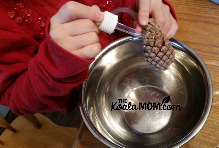 Sunshine adding scented oil to a pine cone