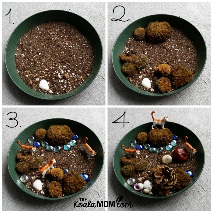 Steps to make a moss garden