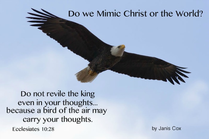 Do We Mimic Christ or the World? photo by Bill Weaver
