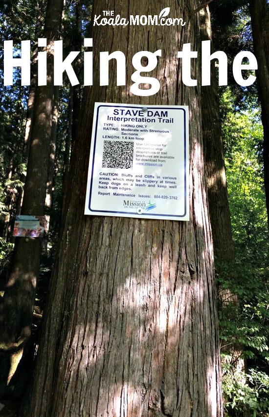 Hiking the Stave Dam Interpretation Trail