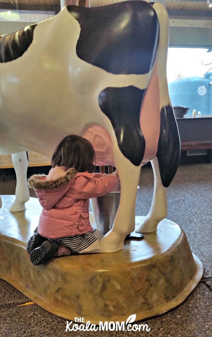 Jade tries to milk a (plastic) cow