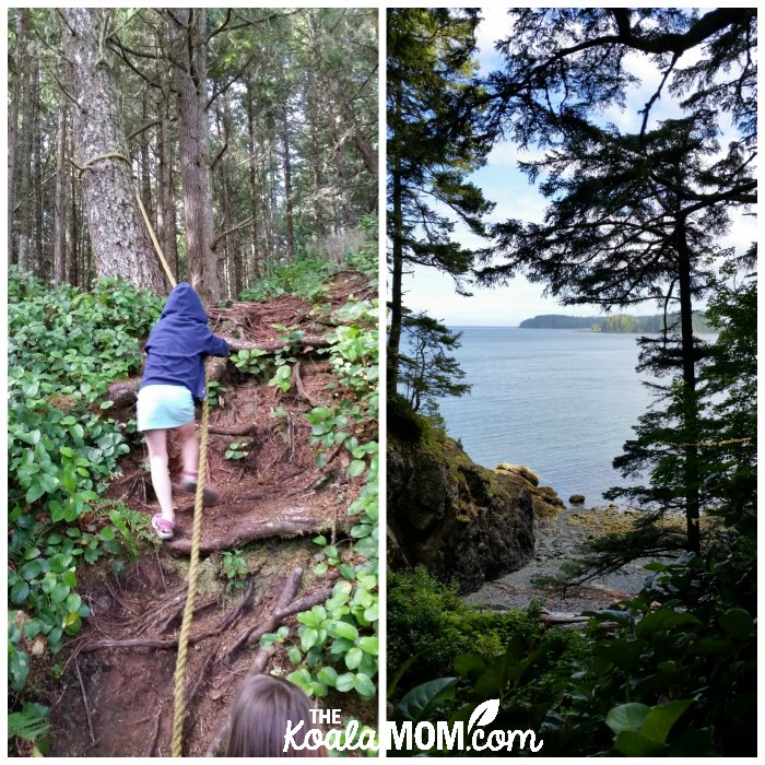 Hiking the Tex Lyon Trail near Port Hardy, BC