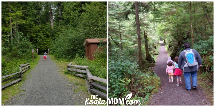 The trail to San Josef Bay in Cape Scott Provincial Park