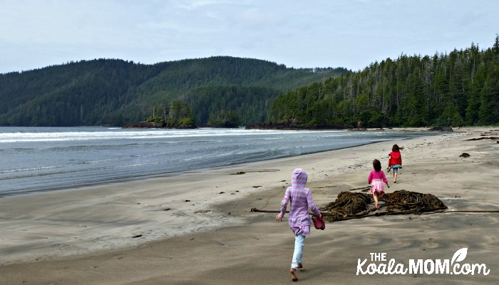 Exploring San Josef Beach in Cape Scott Provincial Park