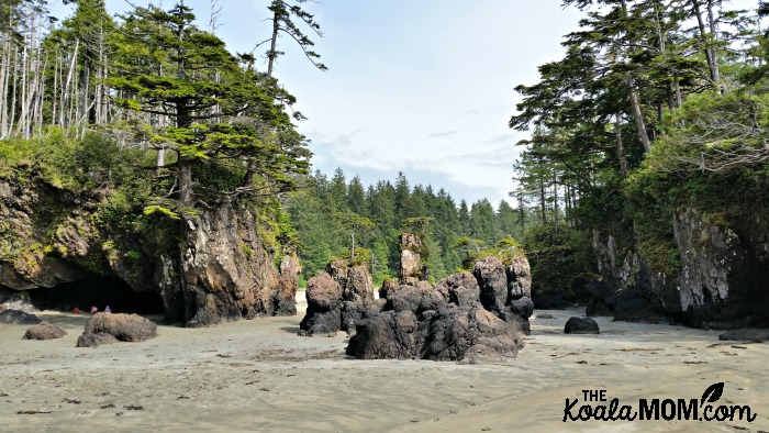 The pinnacles of rock at San Josef Bay