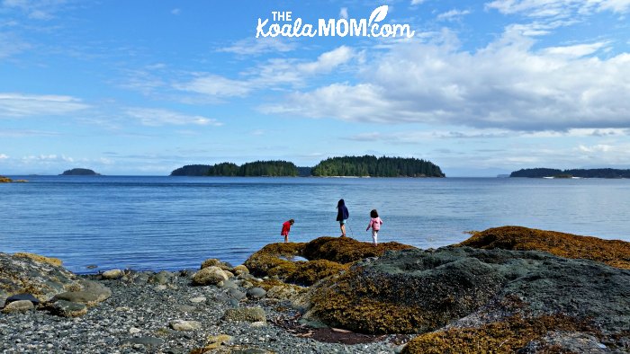 A beach on the Tex Lyon Trail near Port Hardy, BC