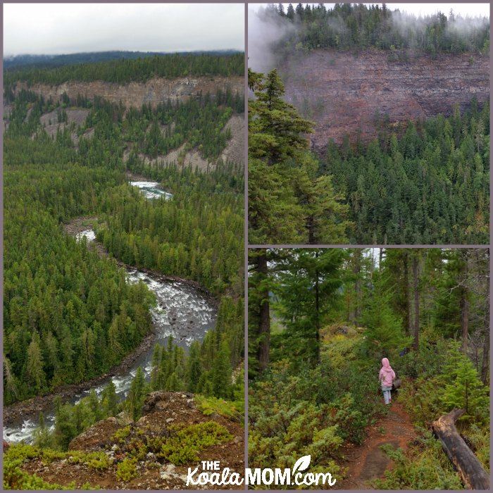 Gatling Gorge in Wells Gray Provincial Park