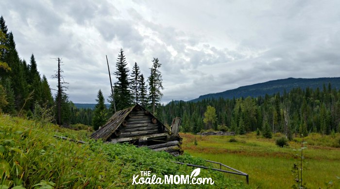 Ray Farm in Wells Gray Provincial Park