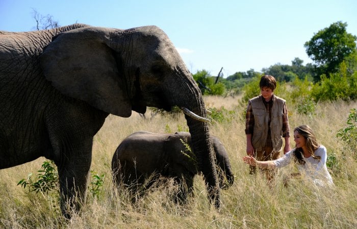 Elizabeth Hurley, Phoenix Wilder, and two elephants in the movie Phoenix Wilder and the Great Elephant Adventure