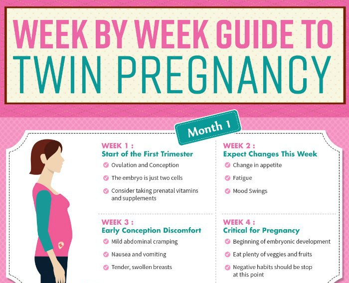 Week by Week Guide to Twin Pregnancy (infographic)