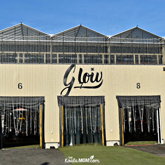 Harvest Glow in Langley, located in a big greenhouse just off Highway 1 and Highway 10