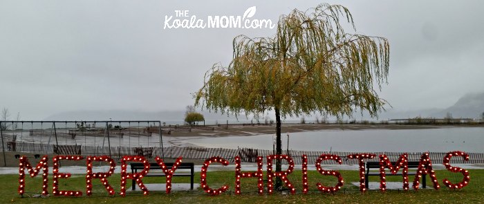 Merry Christmas from Lights on the Lake in Harrison Hot Springs.