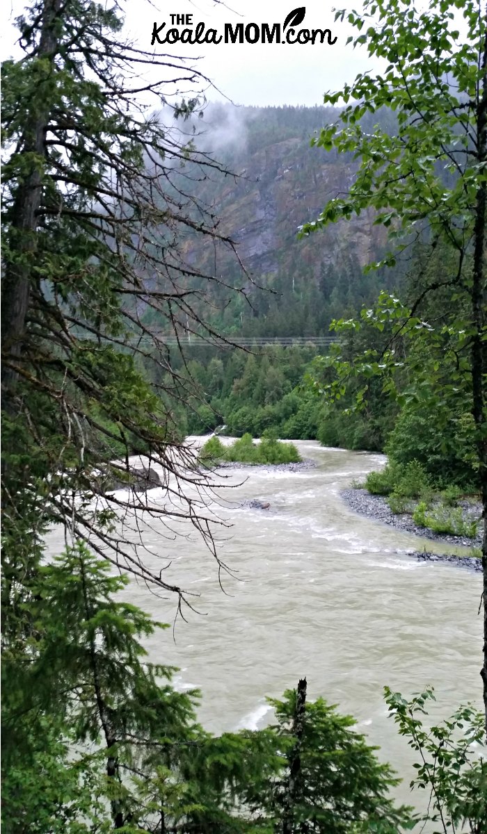 View of the Green River from the Coudre Point Trail at Nairn Falls Campground.