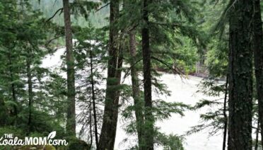 Green River runs past Nairn Falls Campground