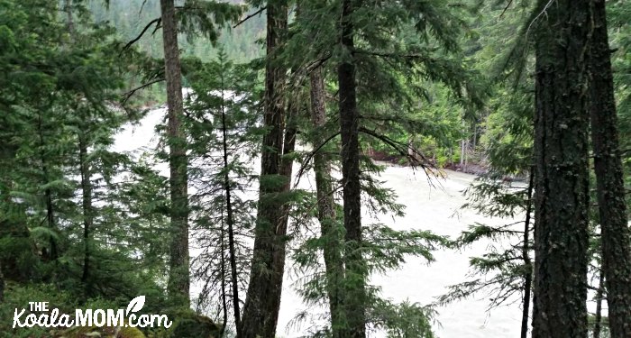 Green River runs past Nairn Falls Campground