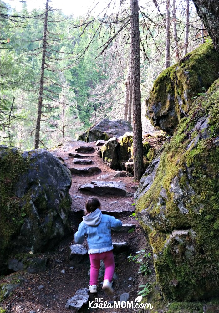 Toddler climbing rock stairs on the trail just before Nairn Falls.