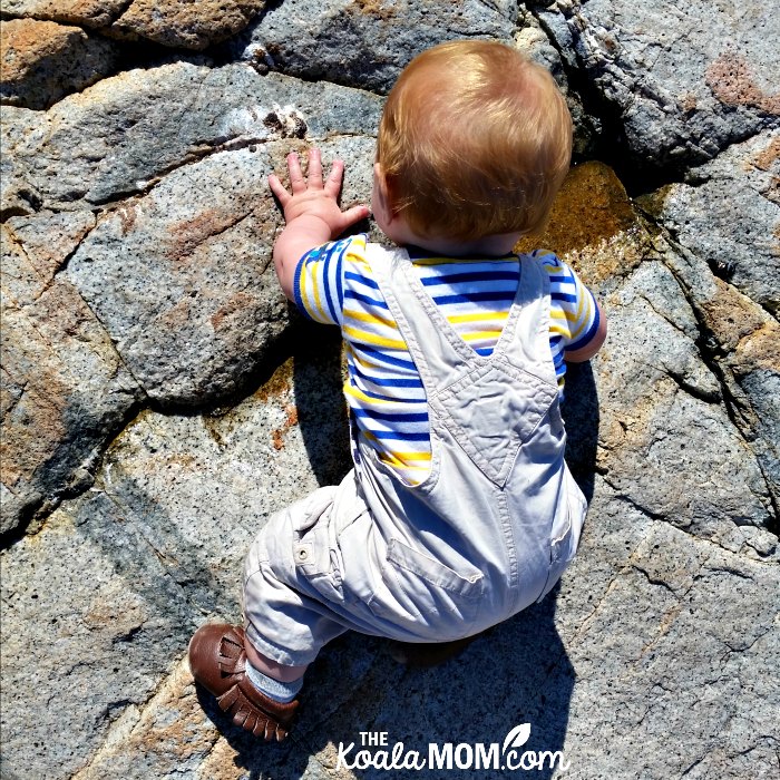 Baby crawling over the rocks at Lighthouse Park.