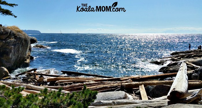 Ocean views from Lighthouse Park.
