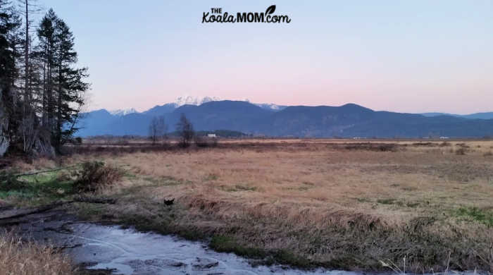 Mountain views from Minnekhada Regional Park.