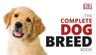 The Complete Dog Breed Book: choose the perfect dog for you (previously published as Top Dog) from DK Books