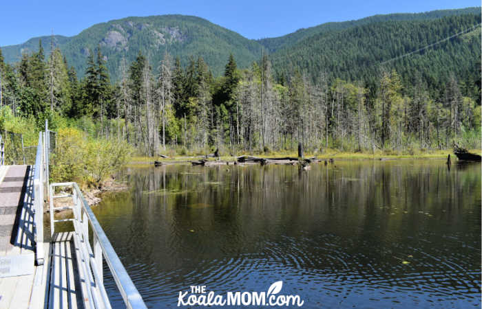 Bridge across the south end of Buntzen Lake.