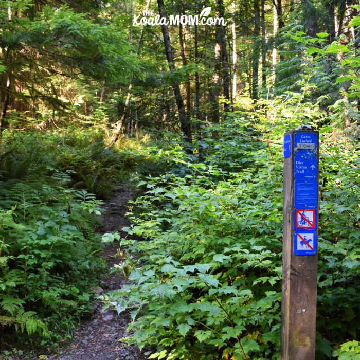Diez Vistas Trail near Buntzen Lake.