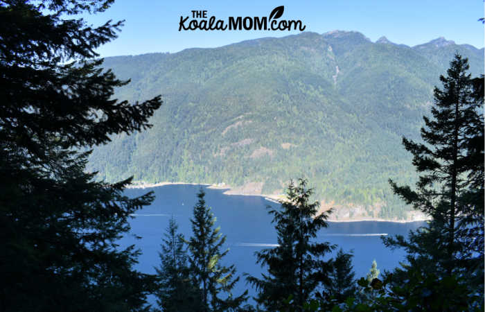 View from the Diez Vistas Trail.