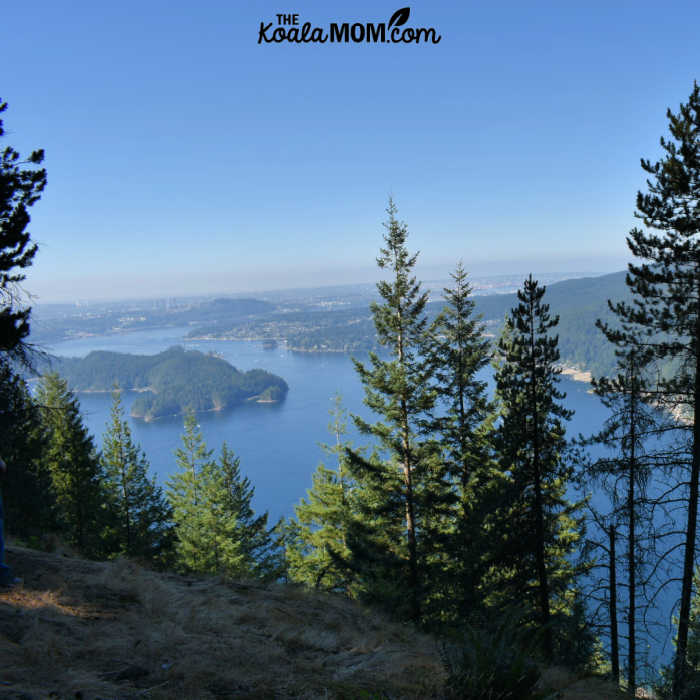 View of Indian Arm from the Diez Vistas Trail.
