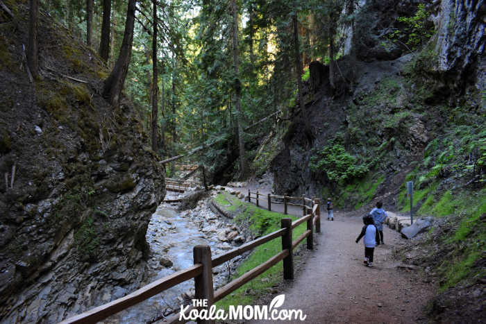 Kids running down the Margaret Falls Trail.