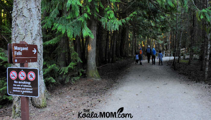 The Margaret Falls trail starts in the Herald Park campground.