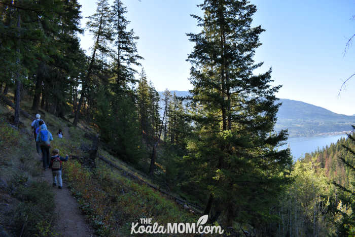 Hiking the Upper Canyon Trail in Herald Provincial Park.