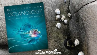 Oceanology: The Secrets of the Seas Revealed
