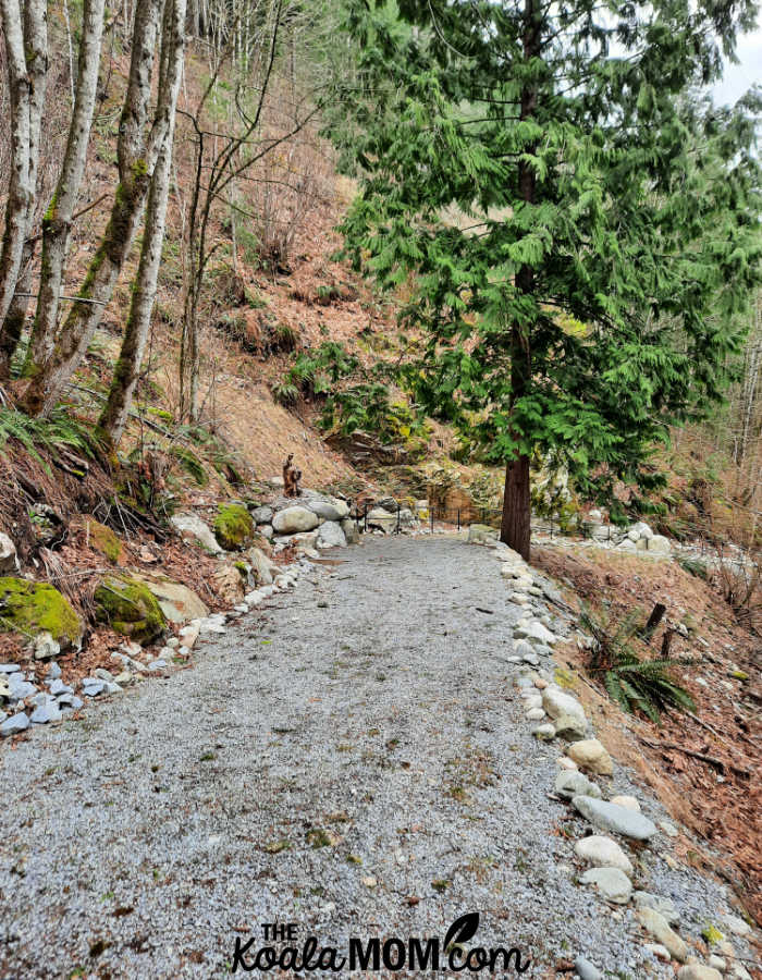 The trail at the Little Carmel Monastery in Derouche, BC.
