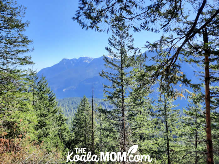 Our viewpoint of Alouette Lake from the trail.