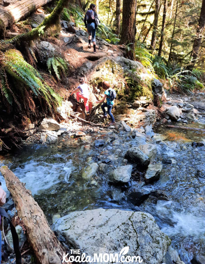 Kids crossing a stream on the Viewpoint Trail.