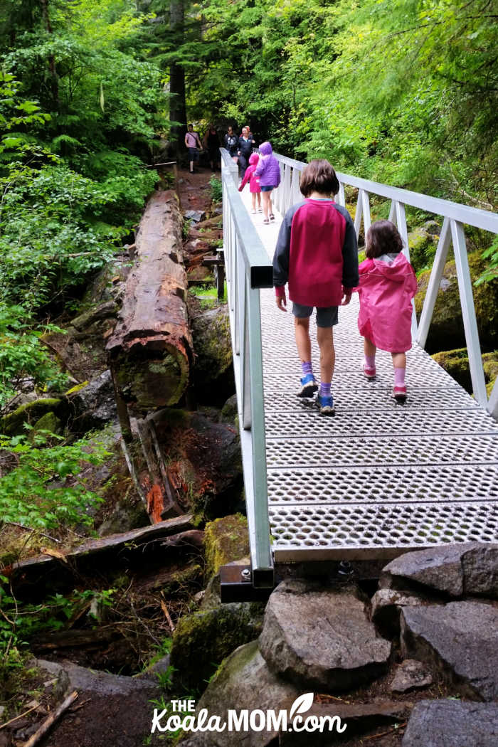 Aluminum bridge on the Lindemann Lake Trail.