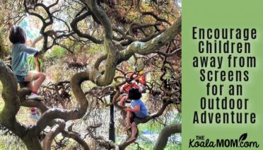 Encourage Children away from Screens for an Outdoor Adventure