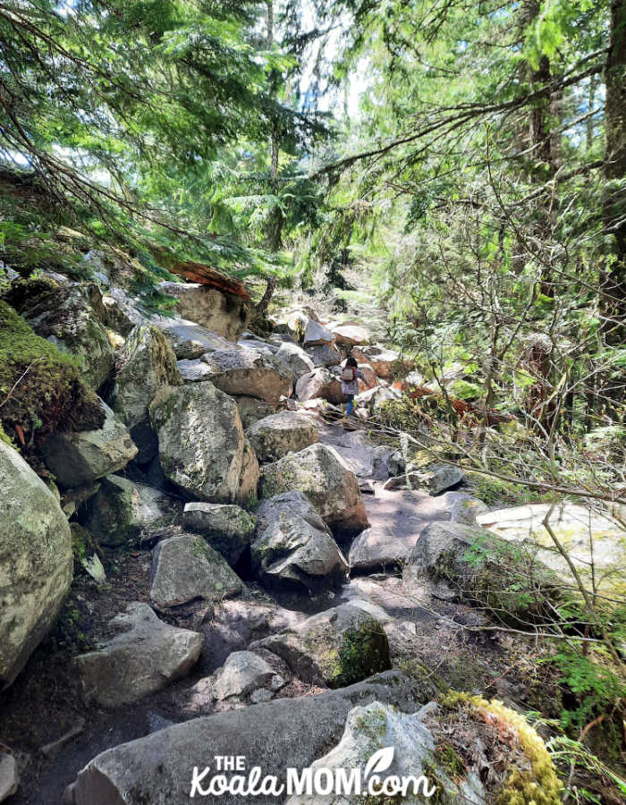 5-year-old hiking a rocky trail.
