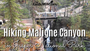 Hiking Maligne Canyon in Jasper National Park