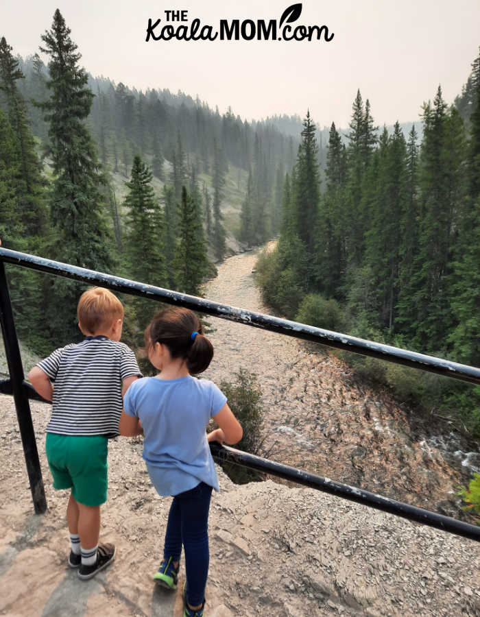 A 5-year-old and 3-year-old admire the view of a river in Jasper National Park.
